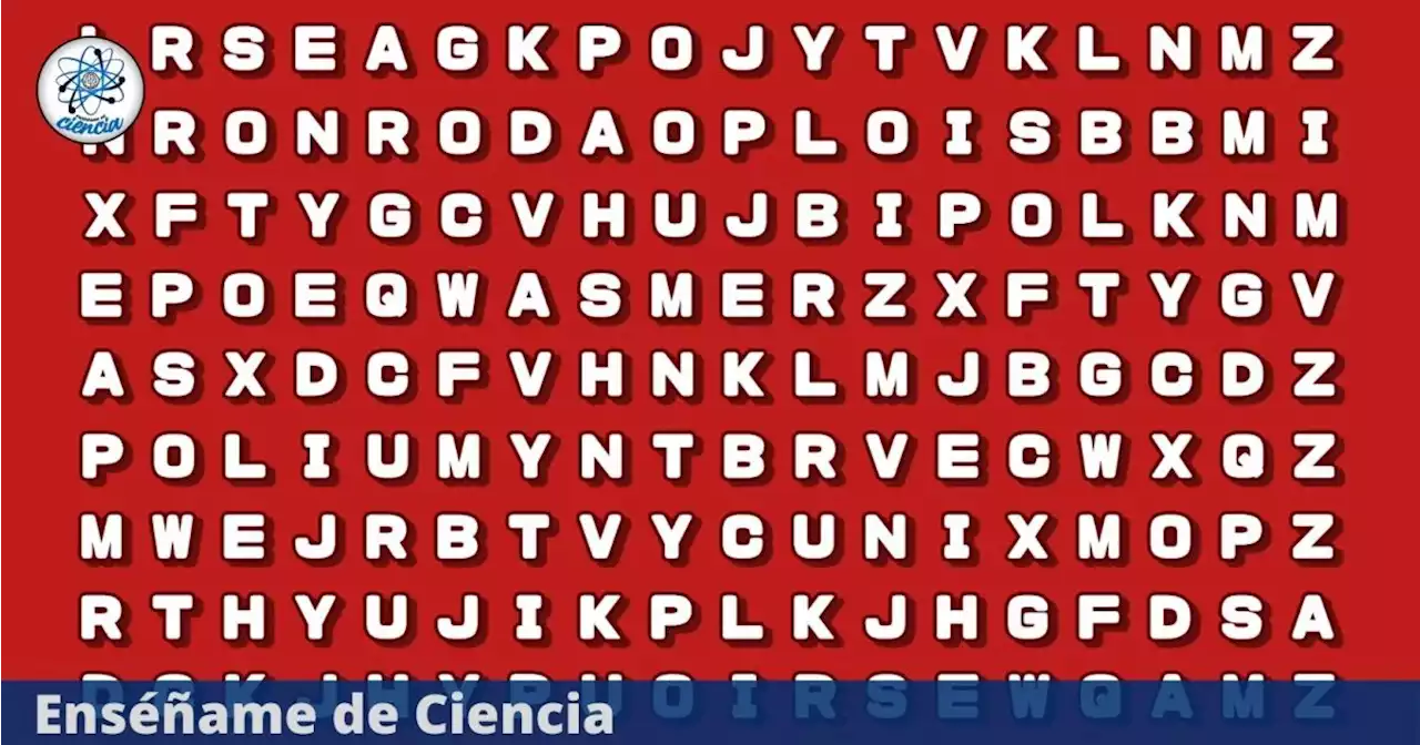 Supera en 10 segundos el acertijo visual: Encuentra la palabra “CASTOR” en la sopa de letras