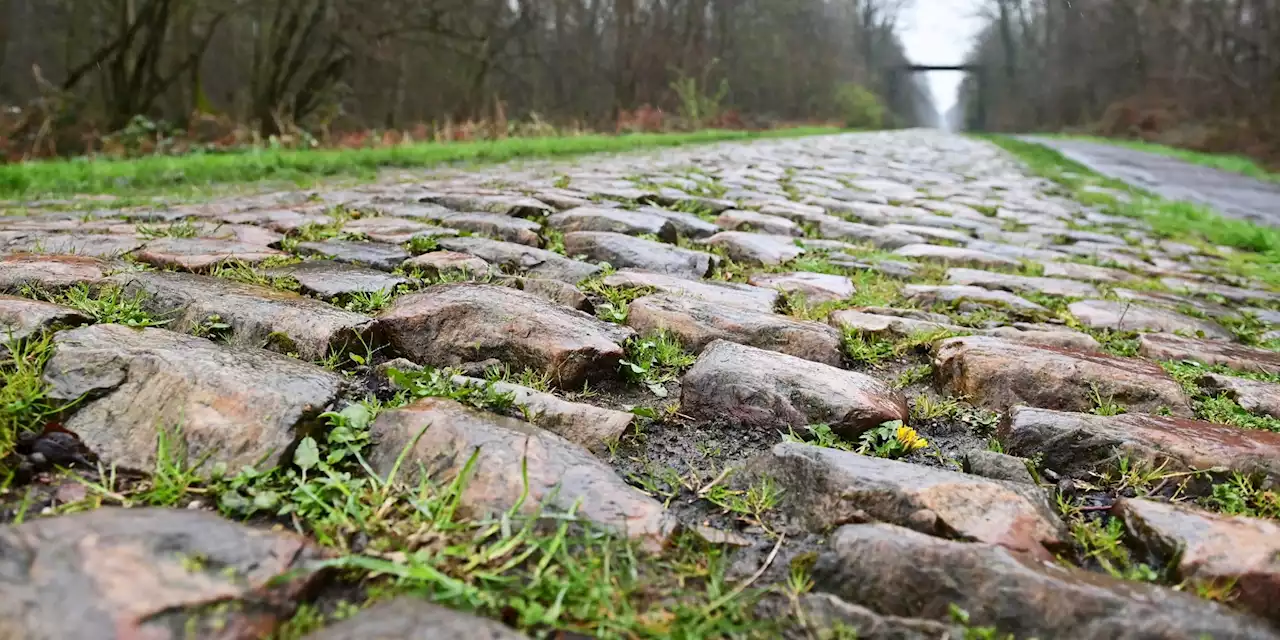 Avant la course des hommes, le Paris-Roubaix féminin ce samedi