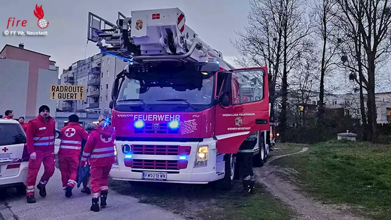 Nö: Wohnungsbrand mit erfolgreicher Menschenrettung in Wiener Neustadt