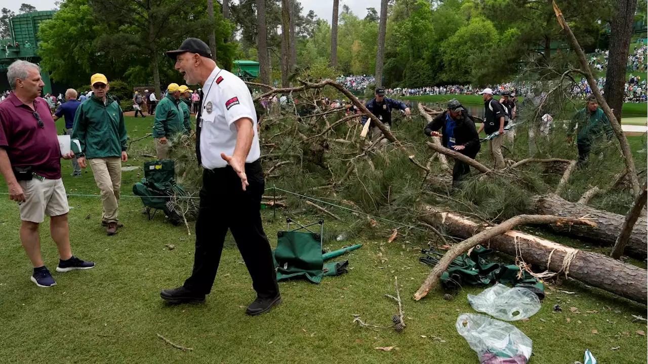 Golf : des arbres s'effondrent près des spectateurs durant le Masters d'Augusta, le deuxième tour interrompu