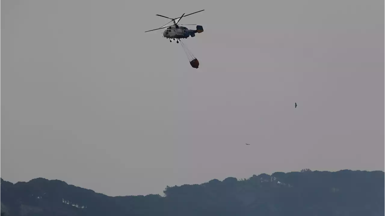 Los trabajos para controlar el incendio de Tarifa, Cádiz continúan con especial esfuerzo en El Chaparral