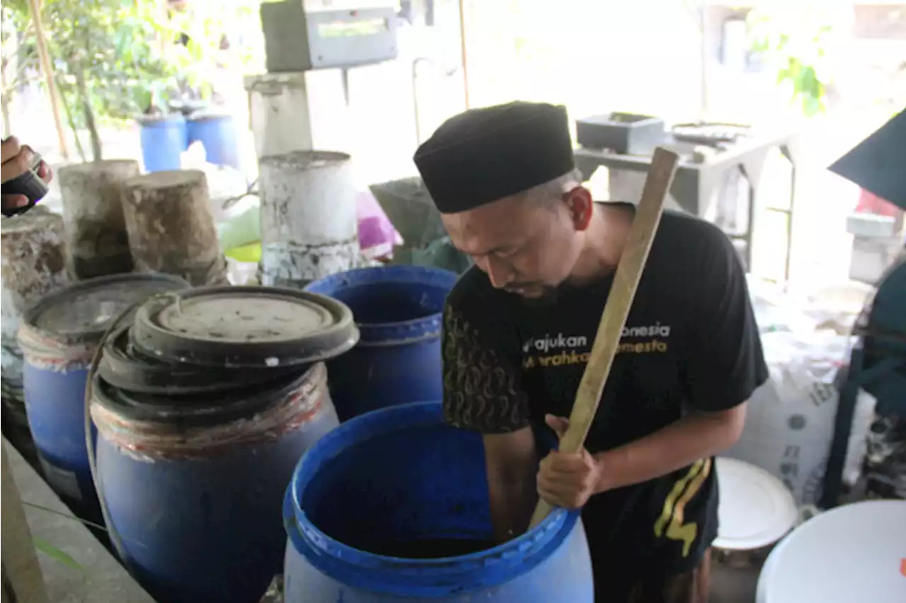 Pupuk Langka, Petani di Jombang Bersiasat Bikin Pupuk Organik Pakai Buah Maja