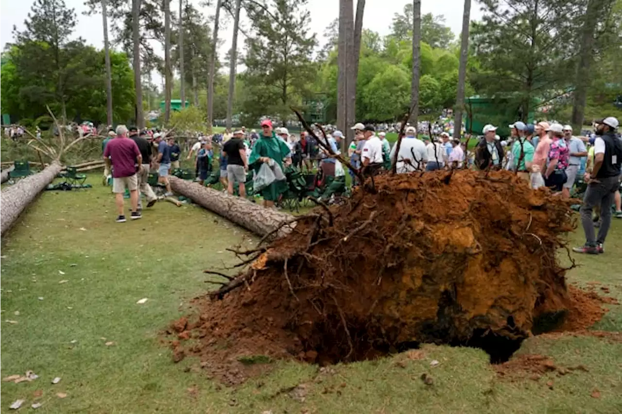 Masters Live Updates | Play suspended at Masters, trees down