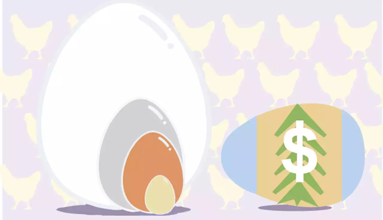 Here’s why eggs are so pricey these days and why it might stay that way