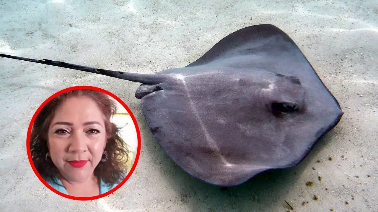 ¿Quién es la funcionaria que mandó mutilar a mantarrayas?