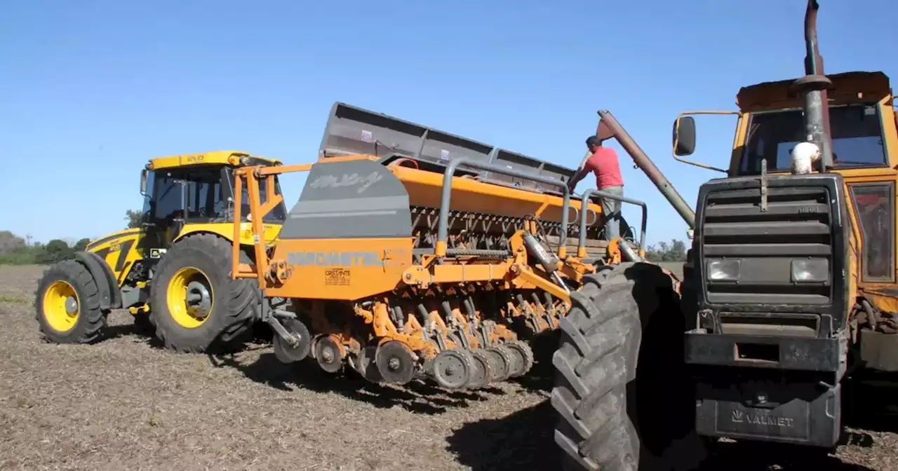 A la espera de más agua, el trigo empieza a hacer sus números... y pintan alentadores | Agricultura | La Voz del Interior