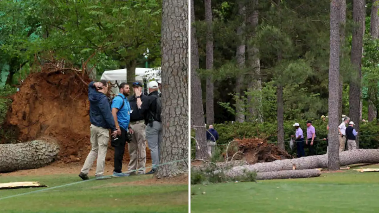 Trees fall and narrowly miss spectators at Masters amid high winds at golf event as fans tell of their terrifying escape