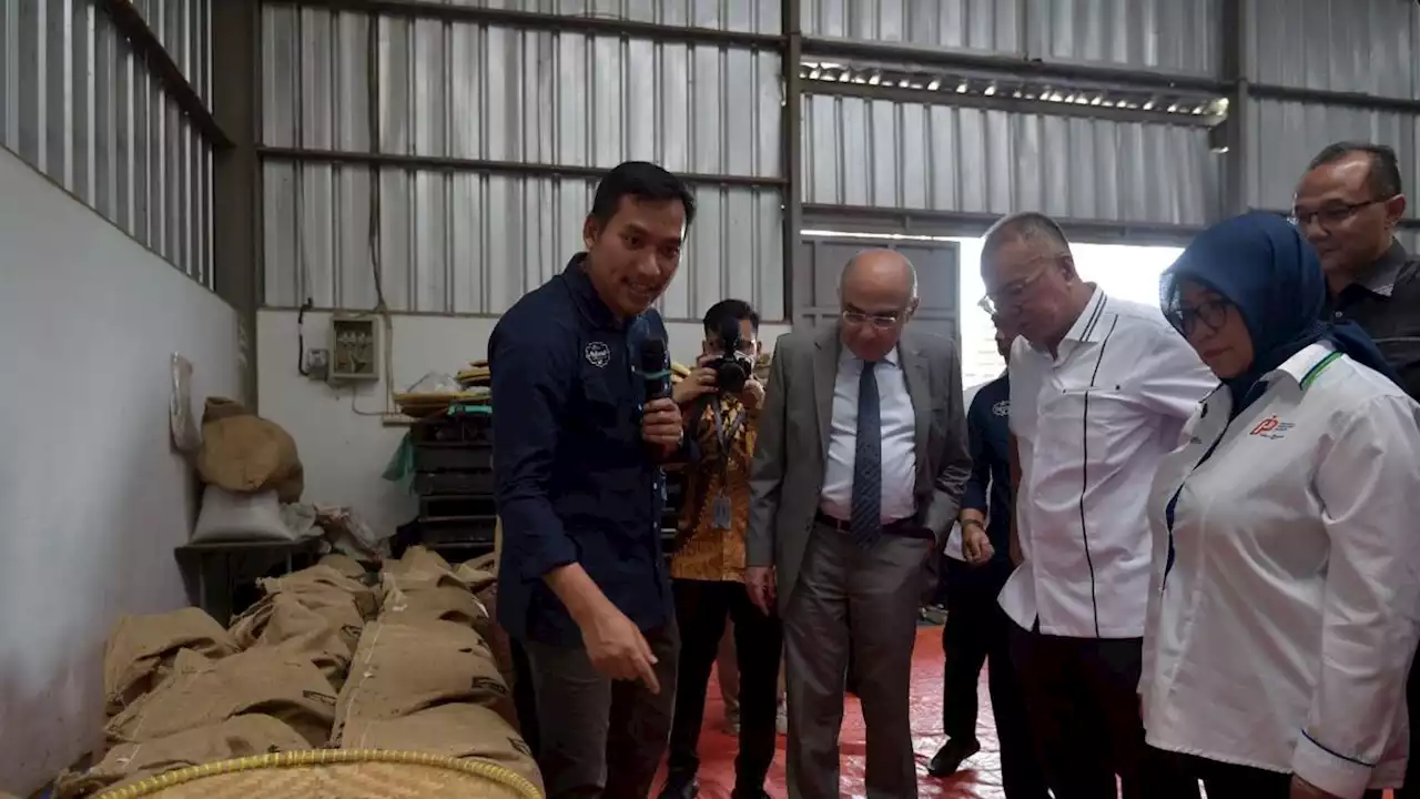 Tak Hanya Bubuk Kakao, Mesir Incar Kelapa Kering hingga Kopi Asli Indonesia