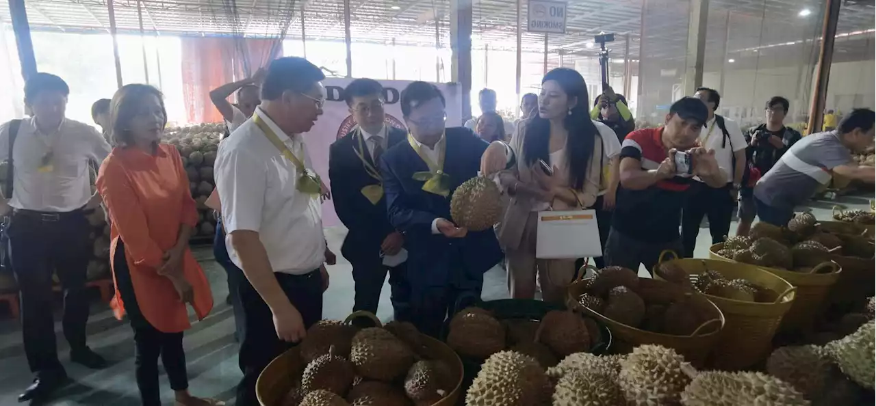 PH sends initial batch of durian exports to China