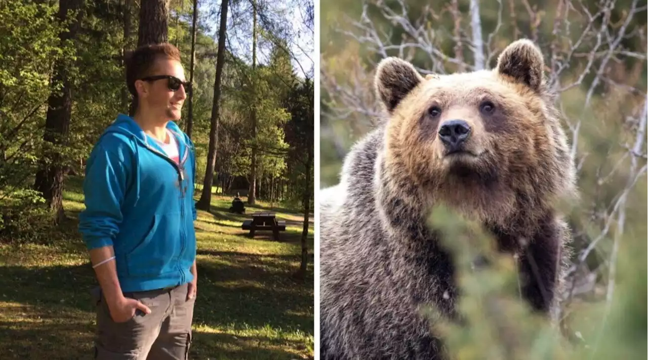 Runner morto in Trentino, Fugatti ordina l'abbattimento dell'orso