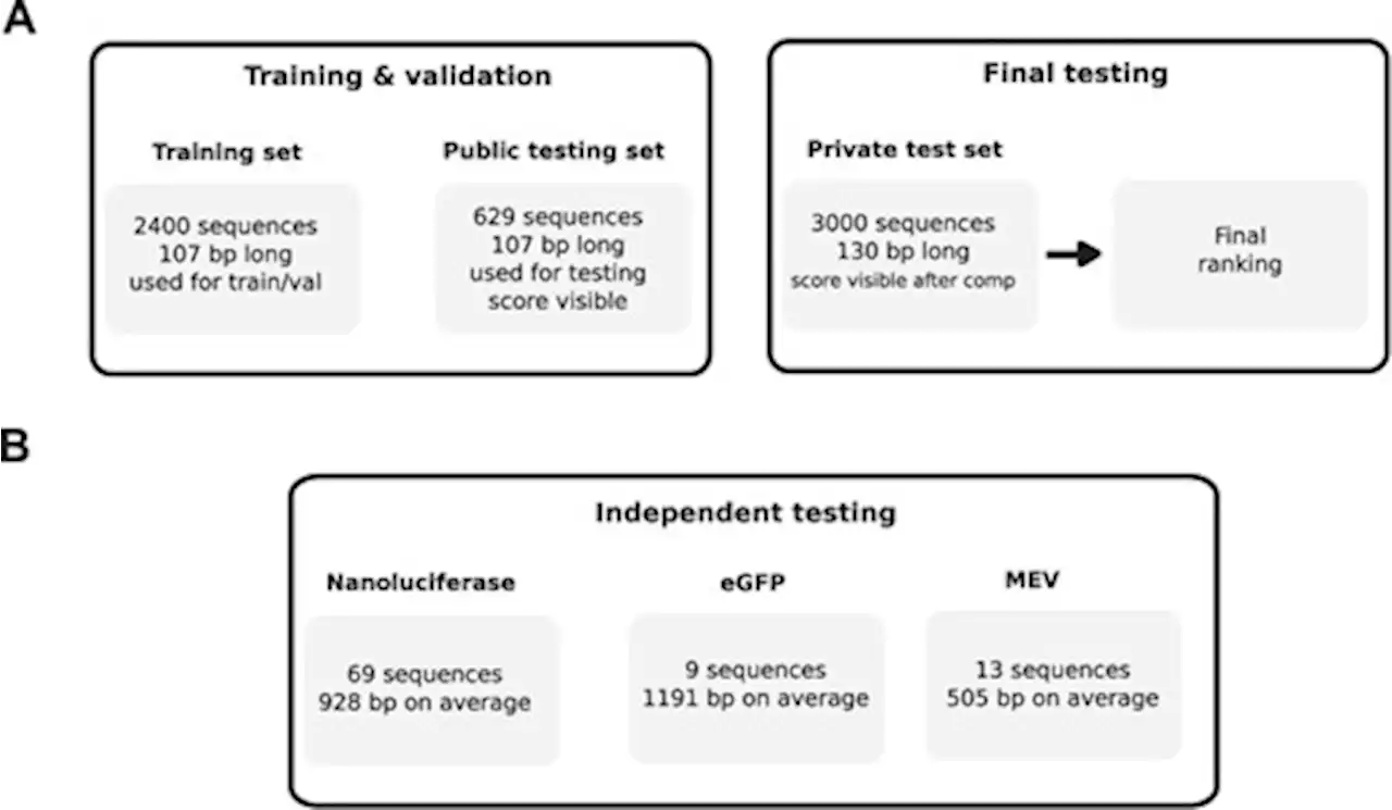 RNAdegformer: accurate prediction of mRNA degradation at nucleotide resolution with deep learning