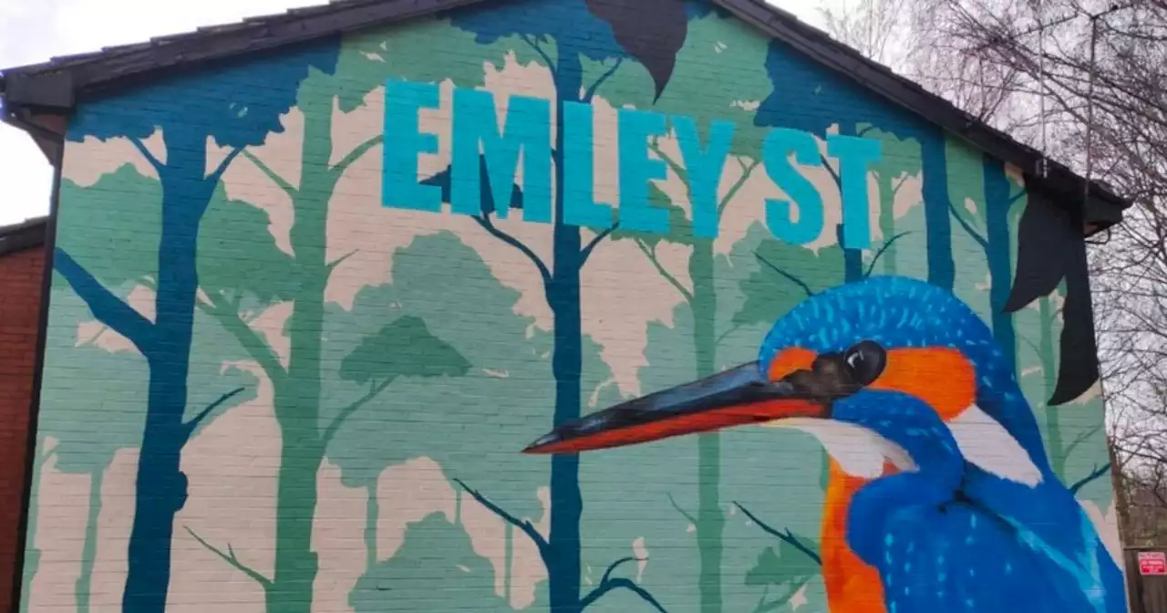 The stunning hand-painted murals of wildlife which are appearing in Manchester