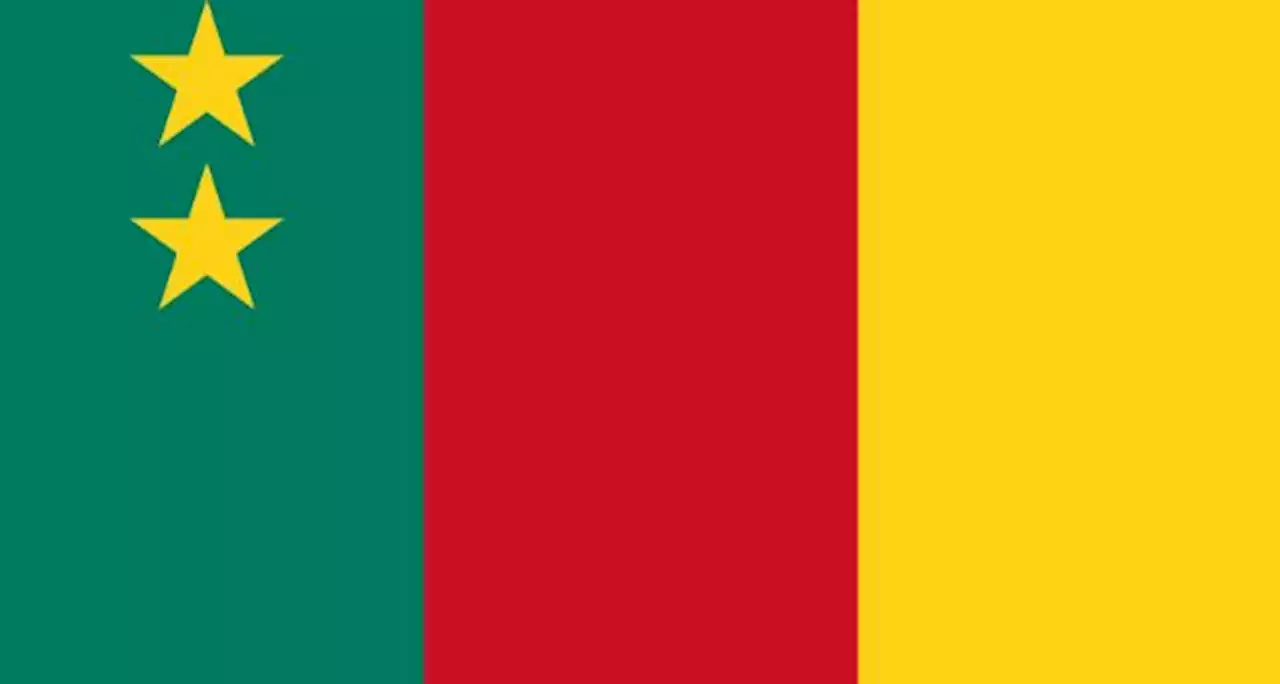 Cameroon begins online visa application service April 30