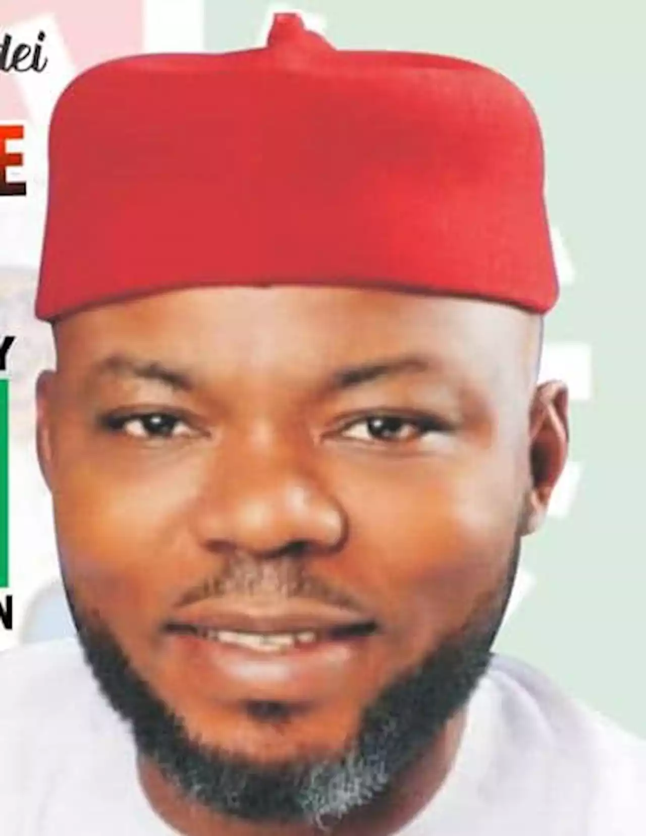 Imo LP candidate released after days in police custody