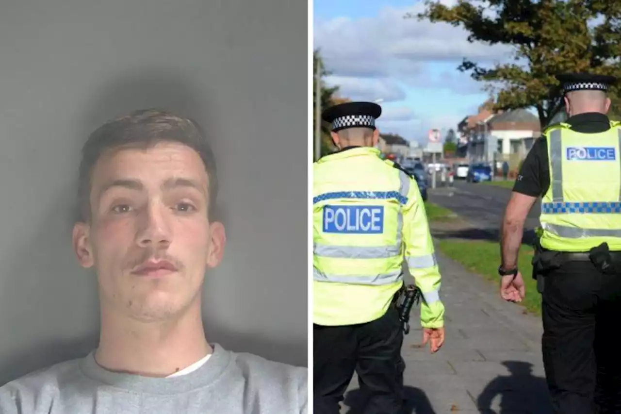 Police grow 'increasingly concerned' for missing man