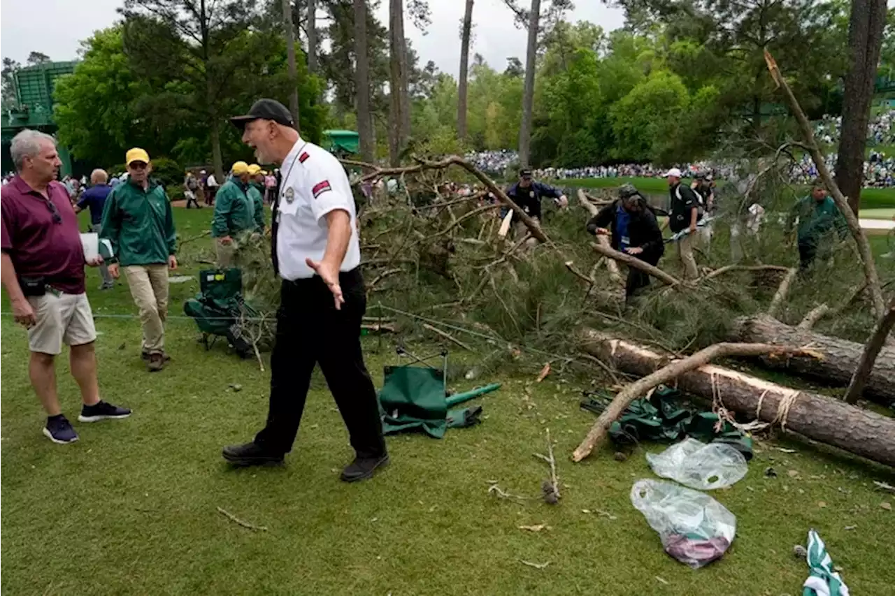 Masters tragedy narrowly averted as 3 trees fall in spectator area; more bad weather to come