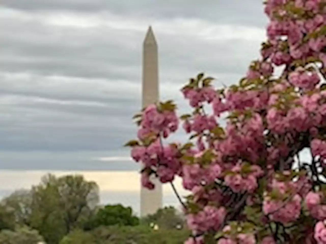 D.C.-area forecast: Cool today and cold tonight, then sunshine returns Sunday