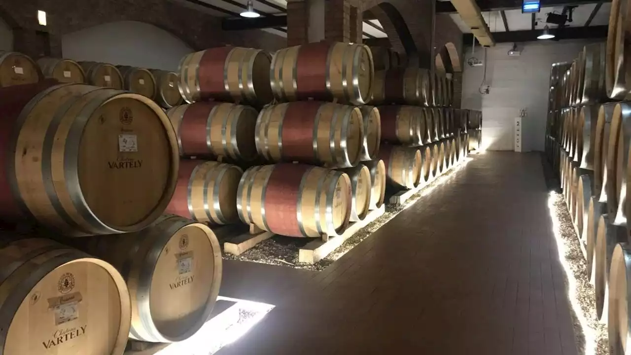 Encore méconnus, ces vins moldaves qui ont tout des grands