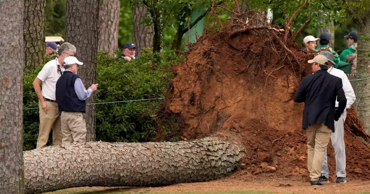 Golf: Bäume stürzen um! Fans schildern dramatische Szenen bei Masters in Augusta