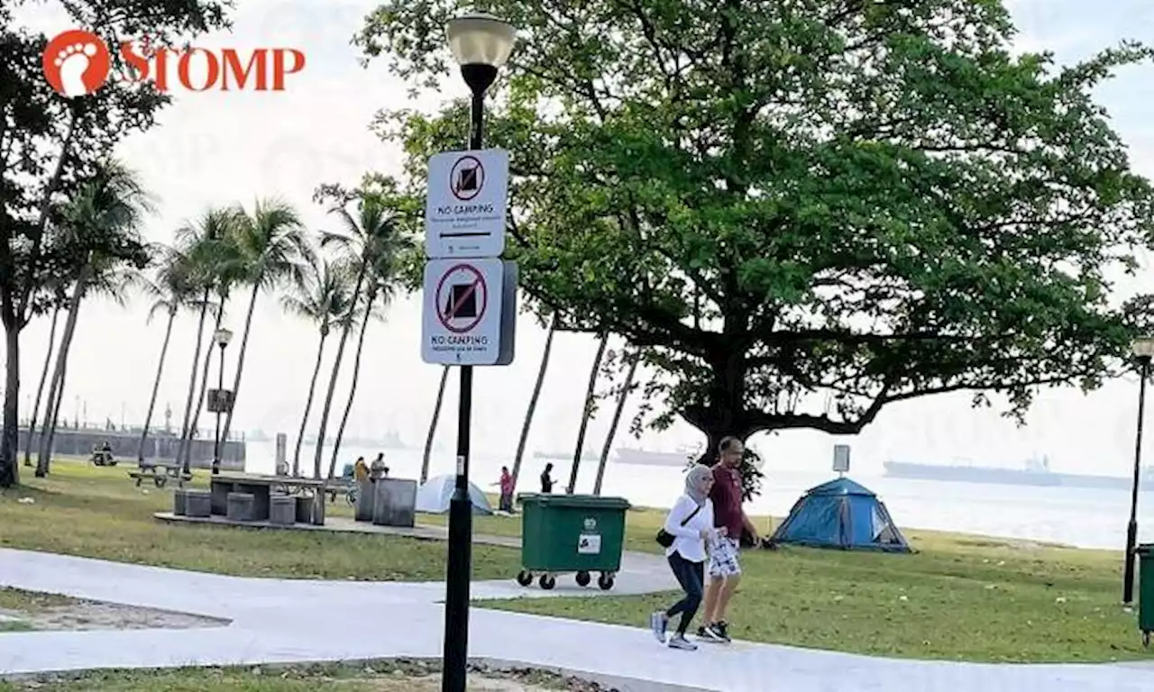 Campers set up tents at East Coast Park where signs say 'no camping'