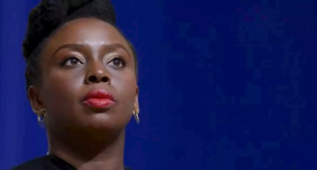 Chimamanda: Nigeria's positively growing democracy | TheCable