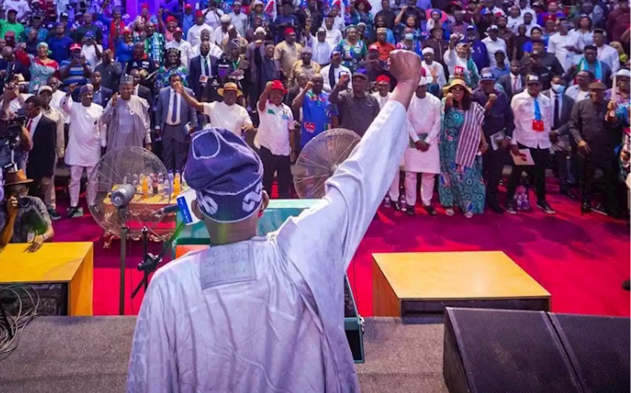 Tinubu: Nigeria will progress faster if we shun ethnic, religious rivalries | TheCable