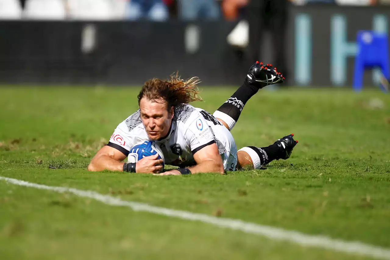 Stormers slight favourites, Sharks underdogs in Champions Cup knockouts | The Citizen