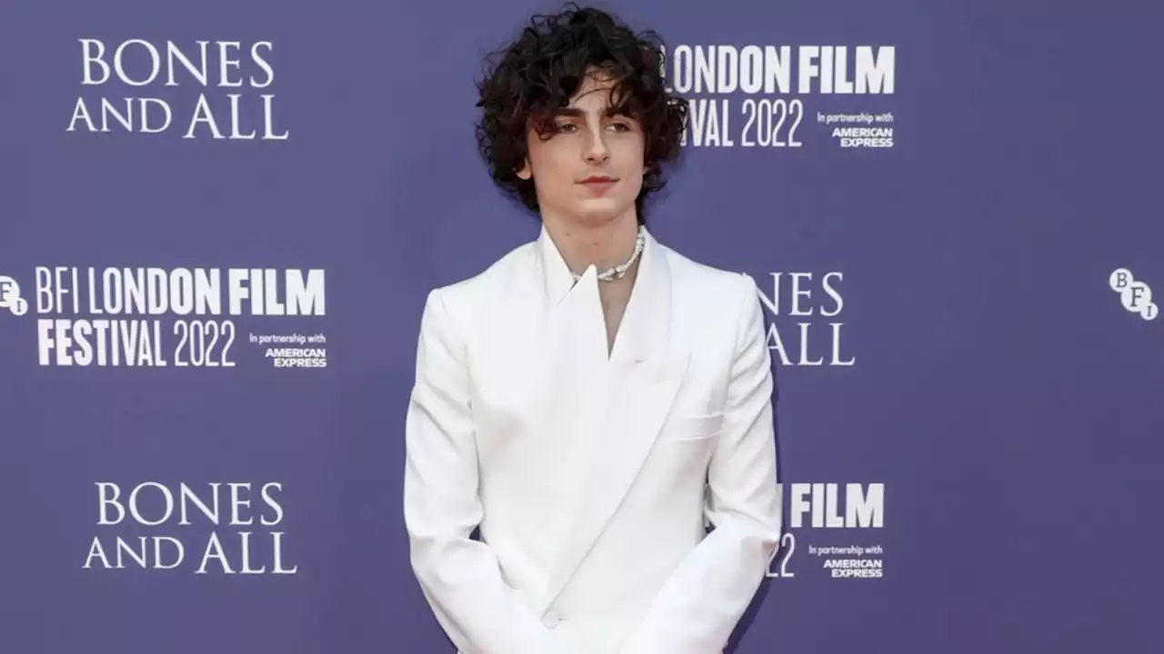 Timothée Chalamet Will Do His Own Singing for Bob Dylan Biopic, Says Director