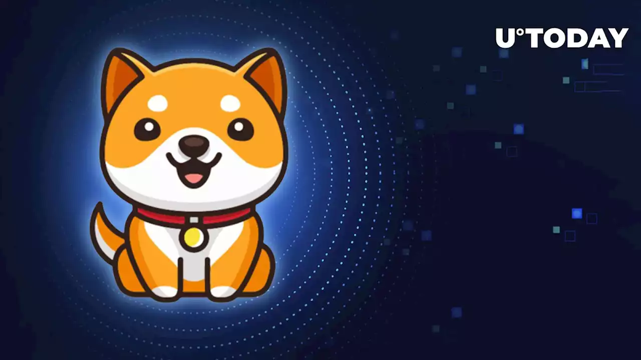 Baby Doge Coin: Billboard Showcases BabyDoge as Web3 Marketplace Takes Up Adoption