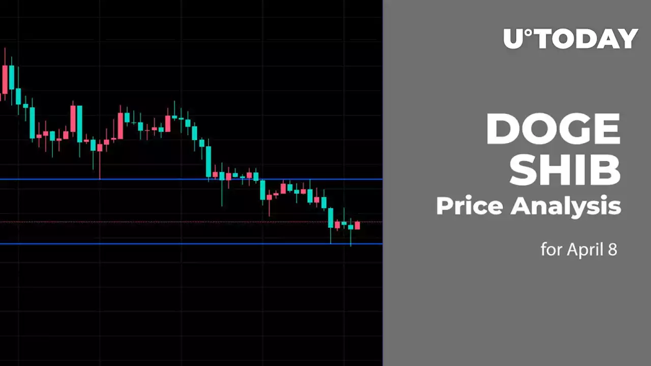 DOGE and SHIB Price Analysis for April 8