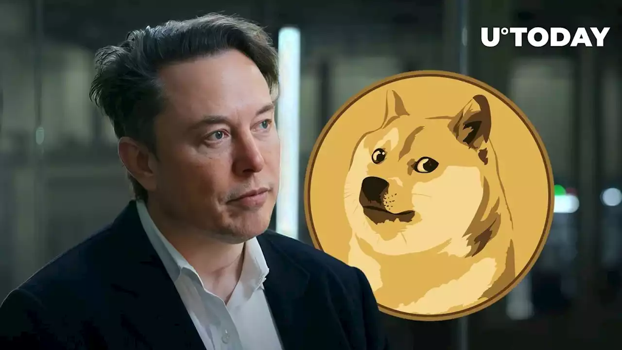 Elon Musk's New Meme Tweet Sparks Enthusiastic Response From DOGE Community