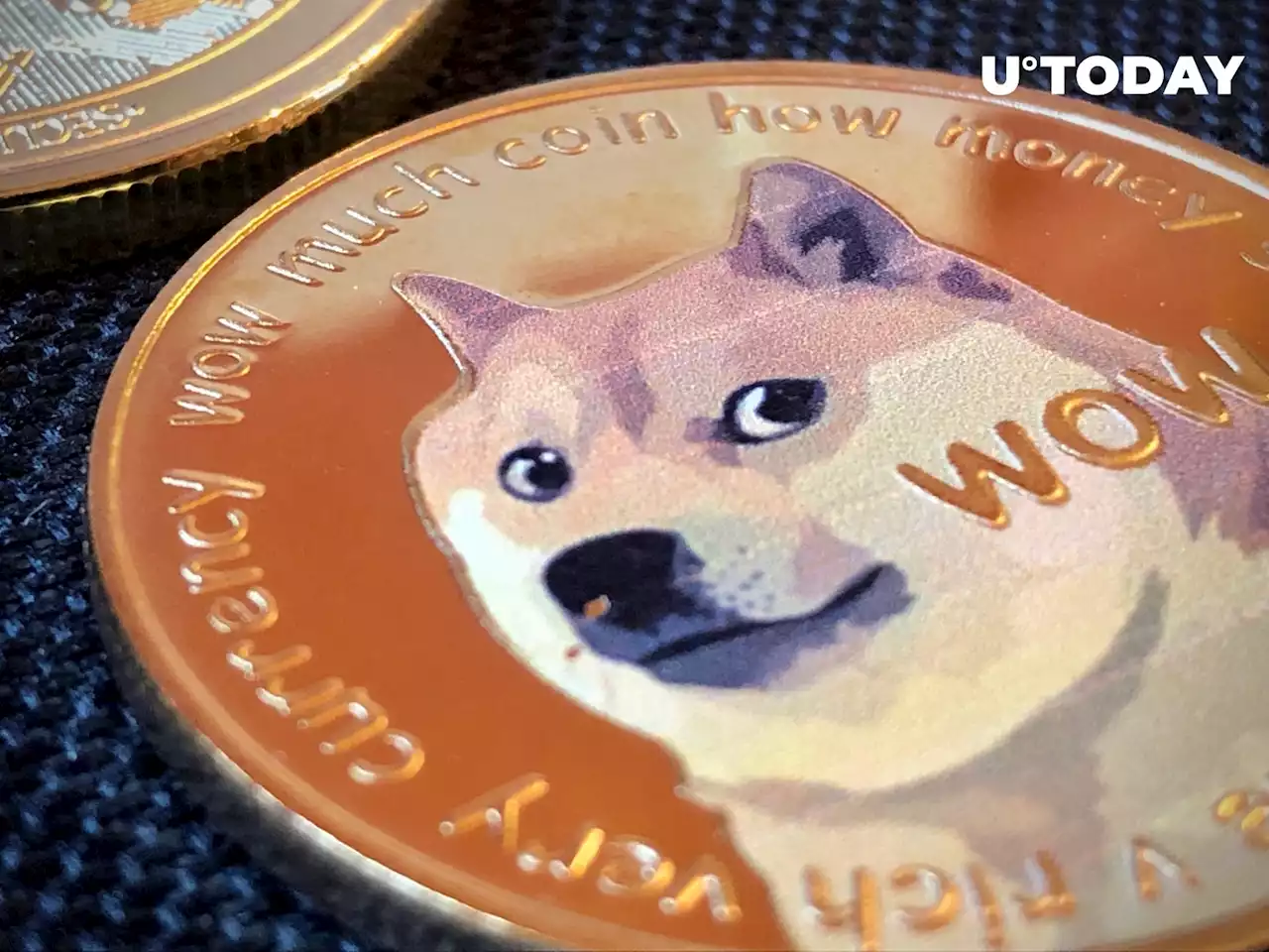 Quarter of DOGE Supply Held in Robinhood’s Wallets – Tens of Billions of Dogecoin