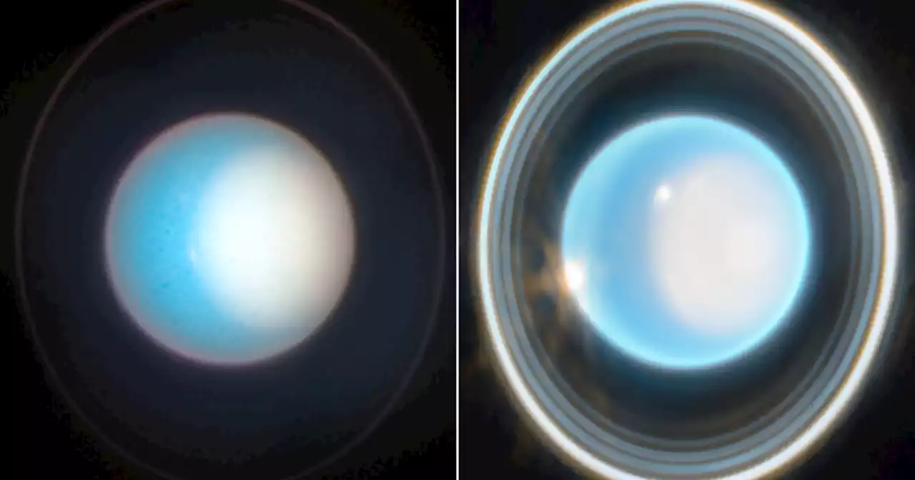 See Uranus' rings in stunning new image from the Webb telescope