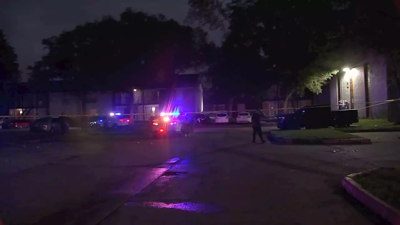 4 shot at celebration of life gathering at apartment complex in E. Harris County, HCSO says