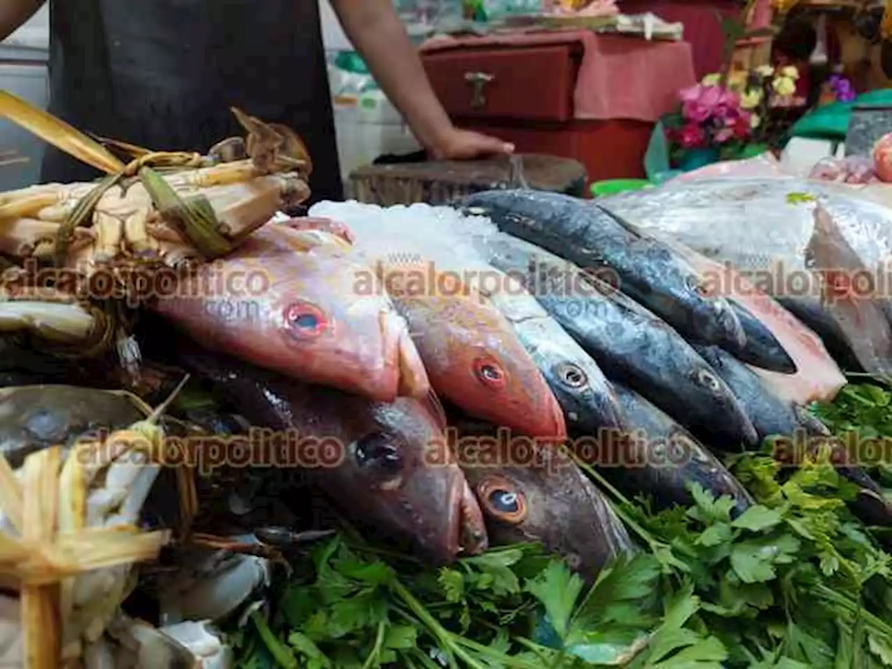 Prevén bajas ventas de pescados y mariscos a partir del lunes, en Orizaba