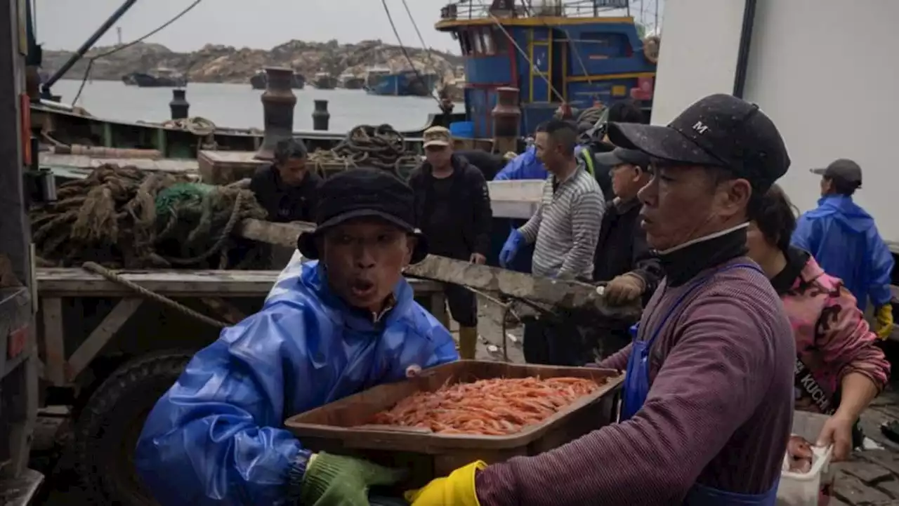 Chinese fishing crews navigate troubled waters as tensions with Taiwan flare