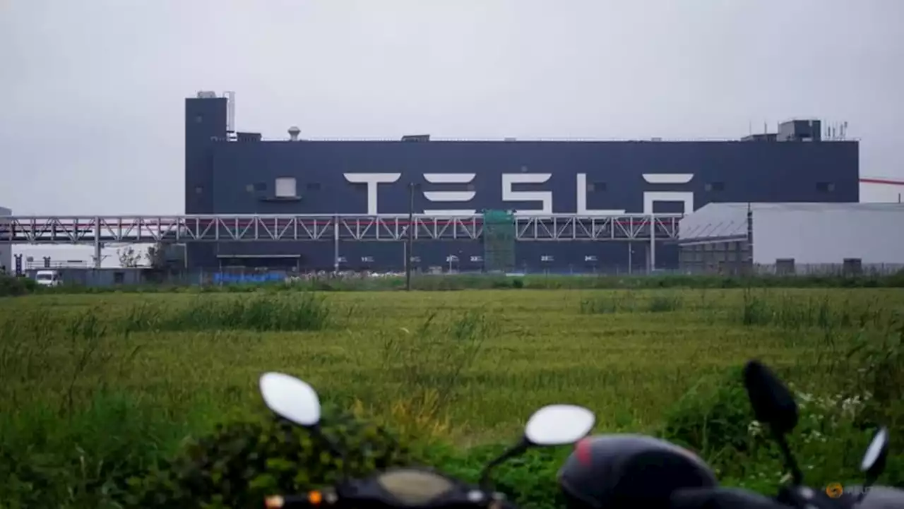 Tesla to build Shanghai factory to make Megapack batteries - Xinhua