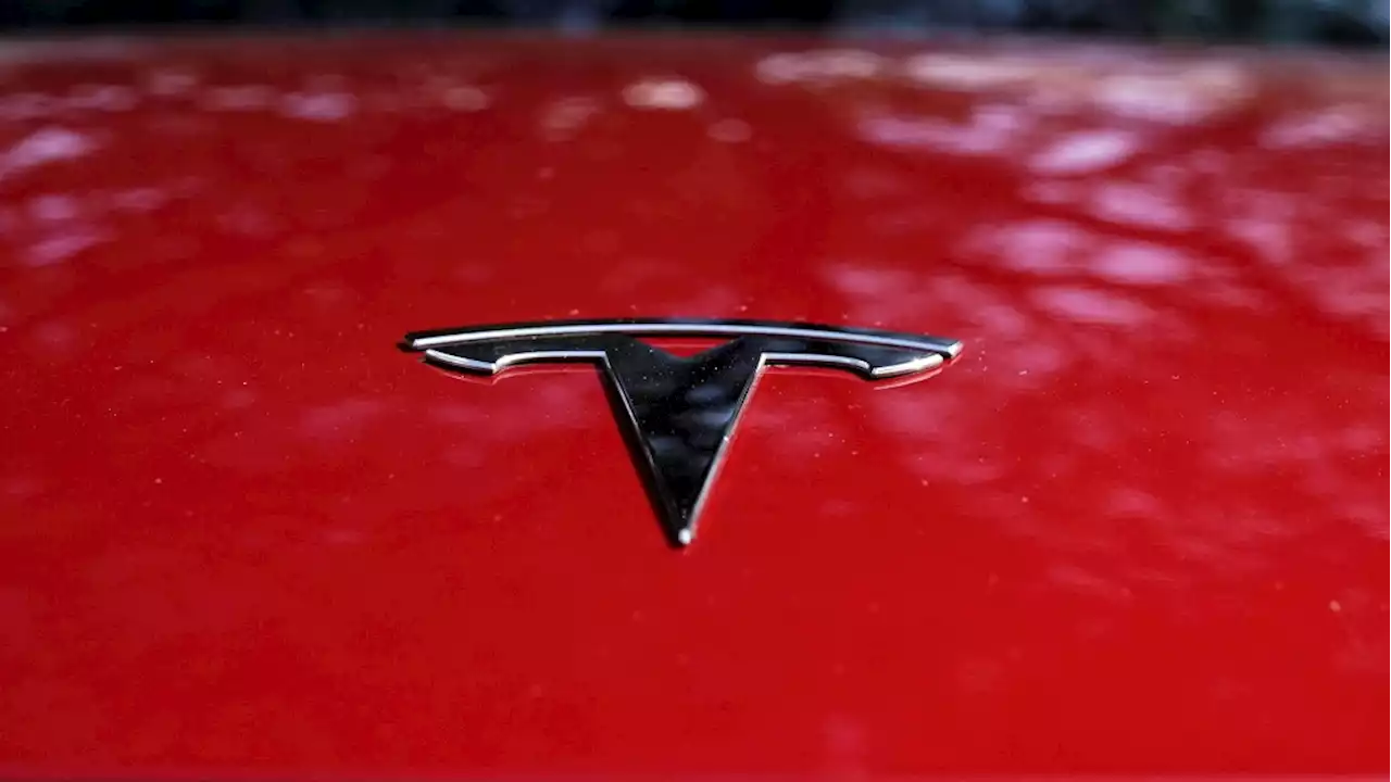 Reports: Tesla plans Shanghai factory for power storage