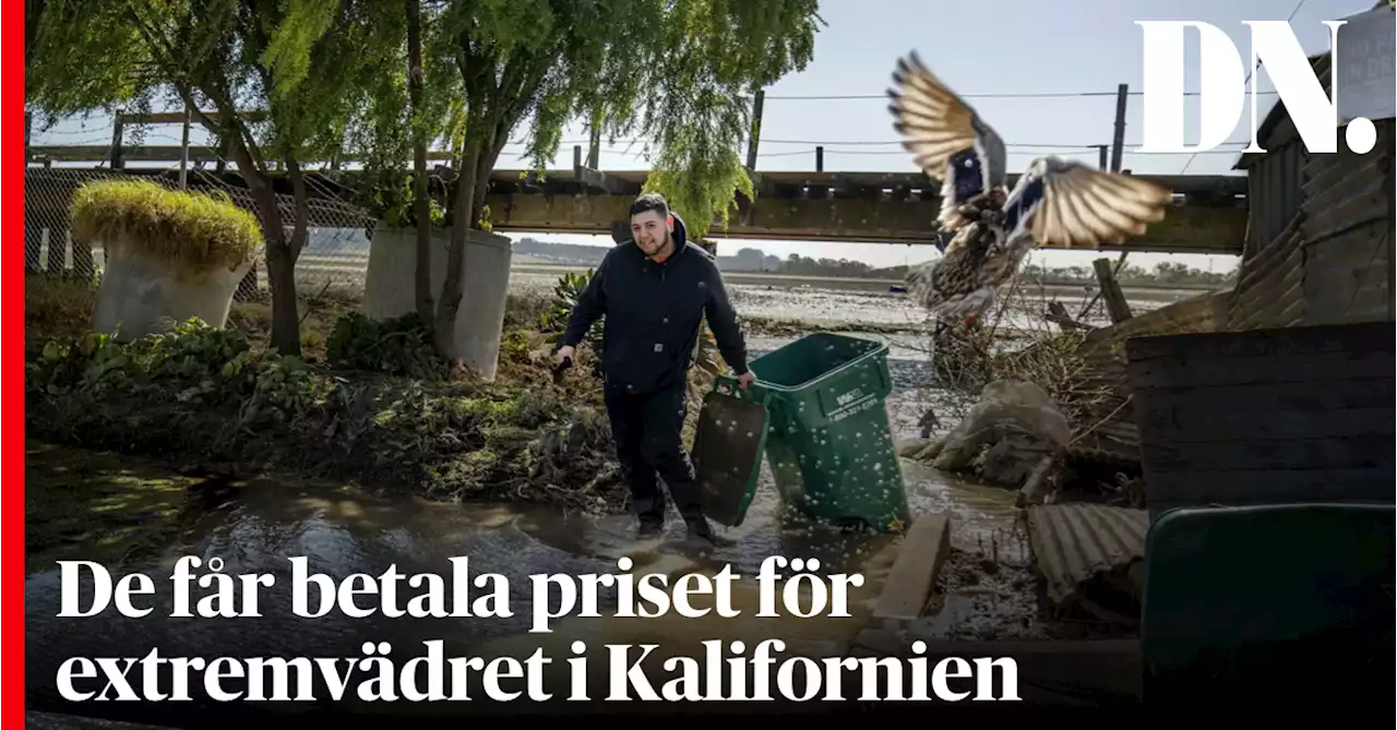 De får betala priset för extremvädret i Kalifornien