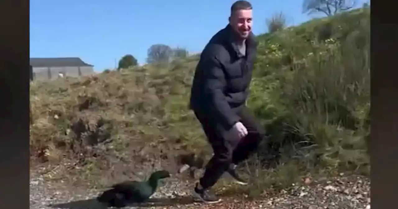 Hilarious moment Scots dad chased around loch by crazed duck