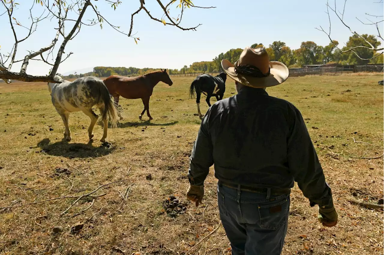 Western Colorado safest region in country against rising tide of natural disasters