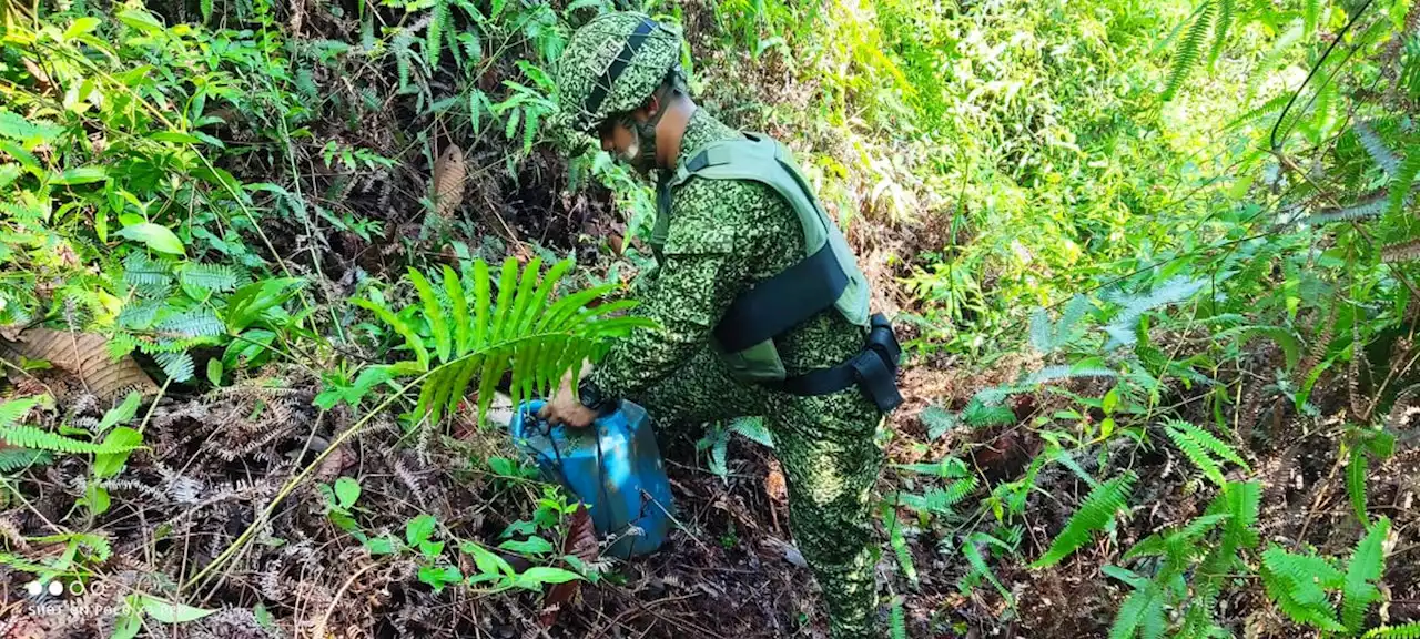 Incautan explosivos de las disidencias Farc en Buenaventura