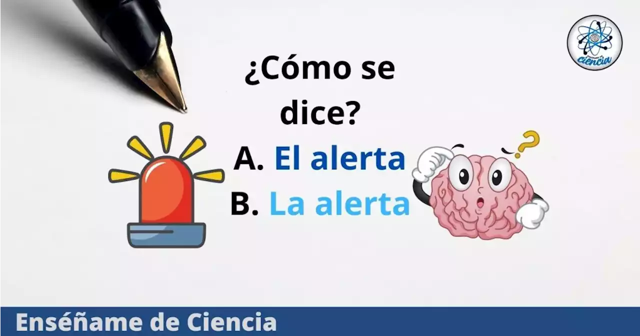 ¿Se dice «el alerta» o «la alerta»? Resuelve esta duda de la RAE