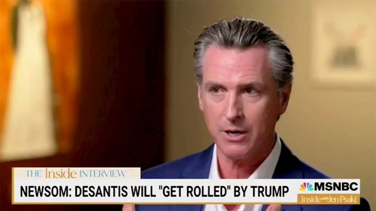 Gov. Gavin Newsom offers DeSantis political advice, says he will get 'rolled by Trump': 'Pack up and wait'