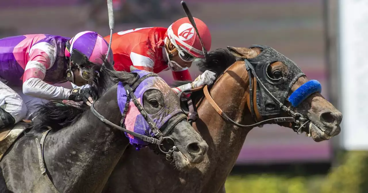 Practical Move heads to Kentucky Derby after winning by a nose in Santa Anita Derby