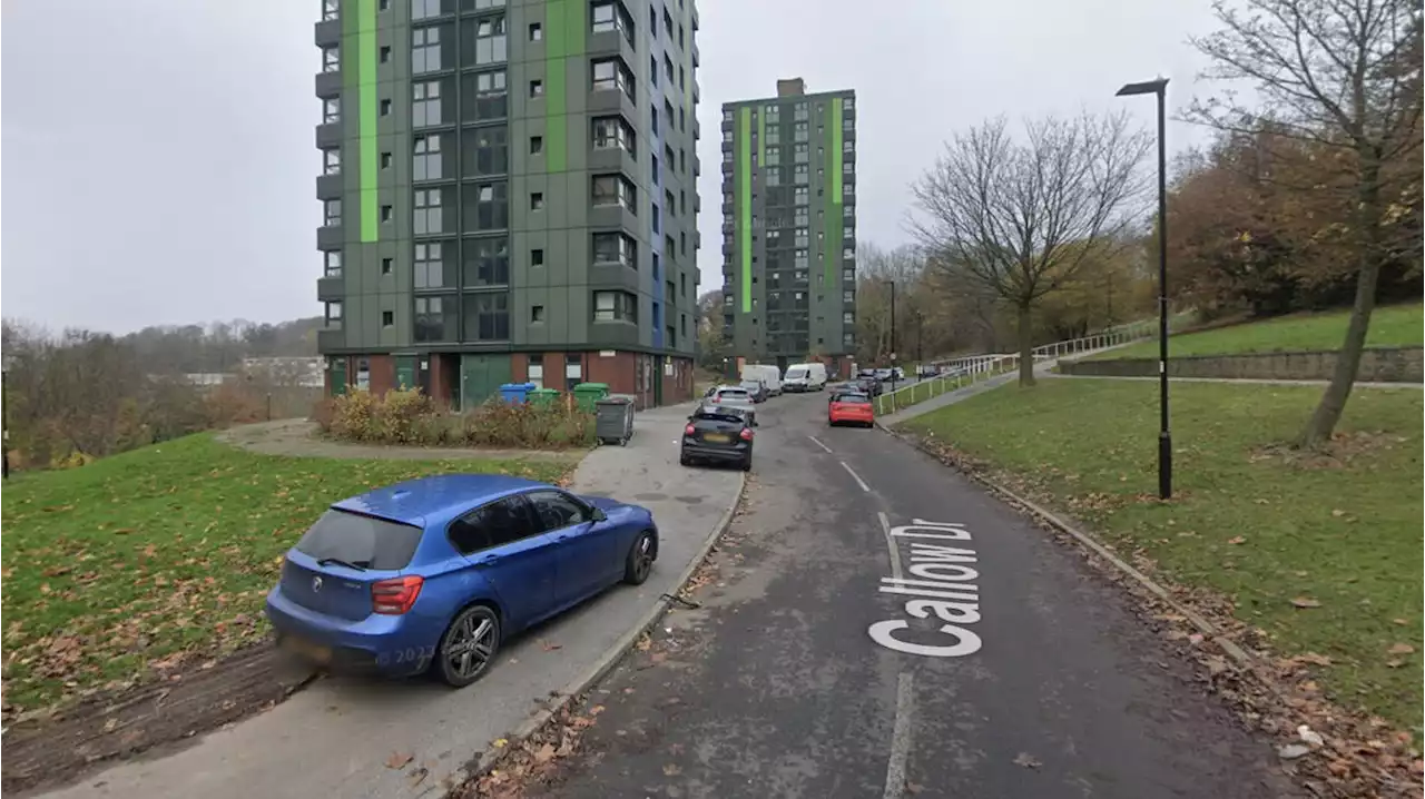 Murder probe launched after man in his 20s shot dead in Sheffield