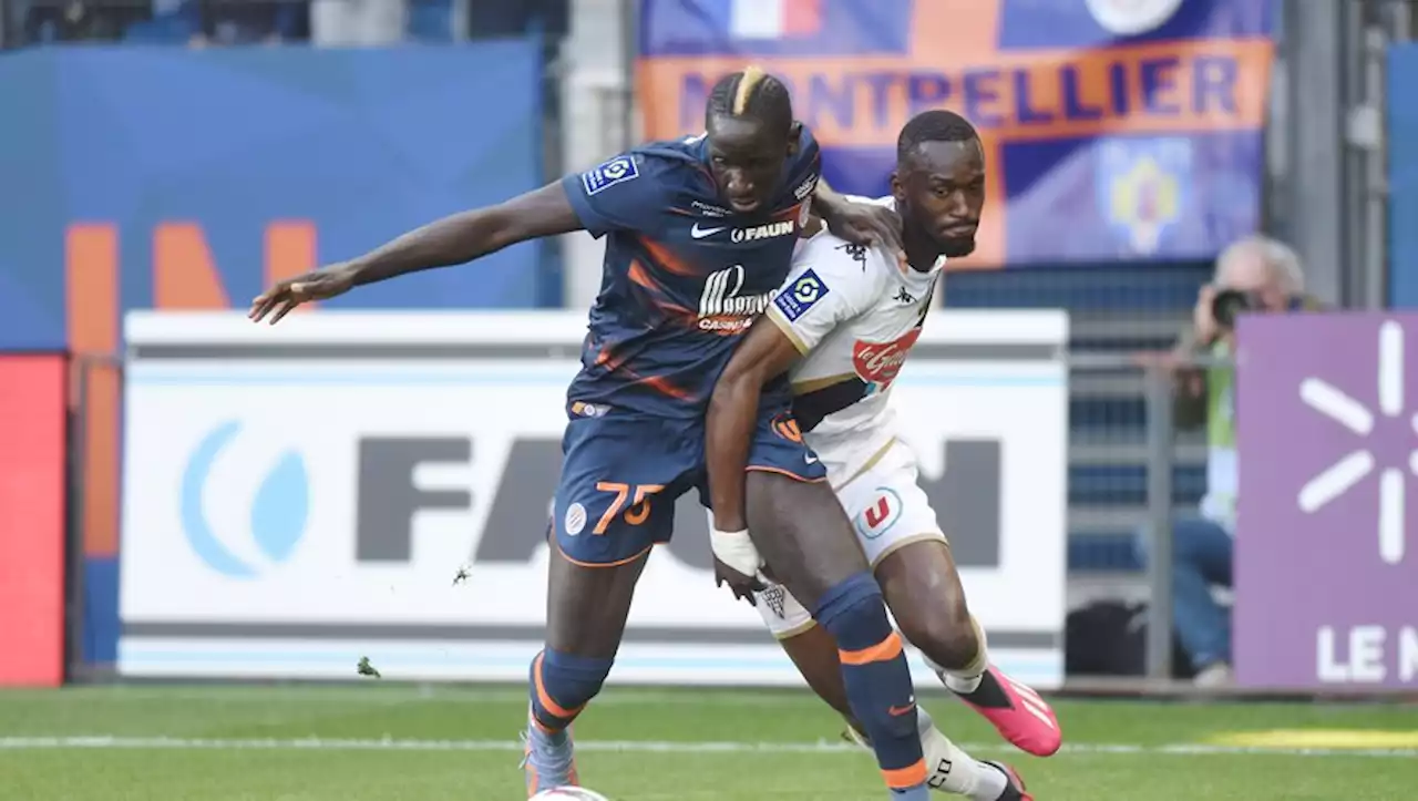 [DIRECT] MHSC - TFC : derby d'Occitanie pour s'adjuger la suprématie régionale, aujourd'hui à 15 h, suivez le match en direct