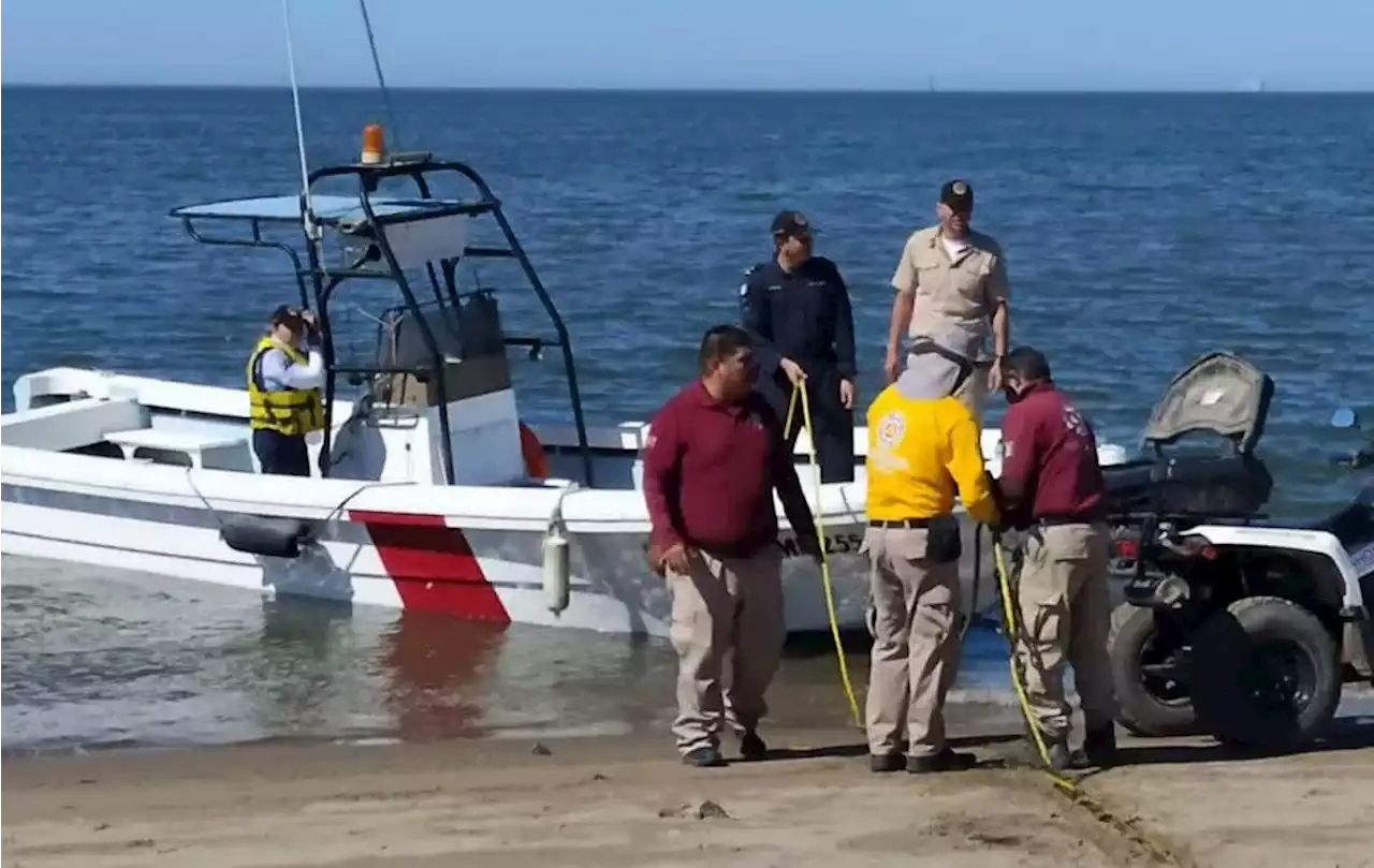 En Sinaloa, buscan alejar mantarrayas de playa El Maviri