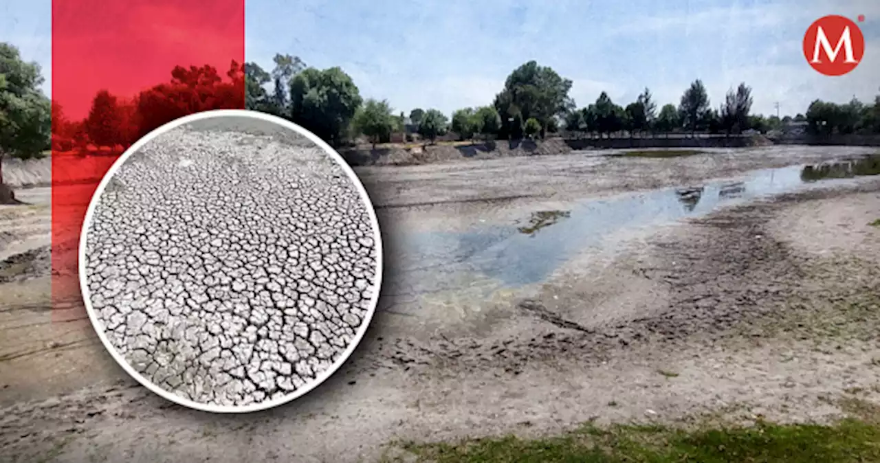 Acusan que Laguna de Acomulco de Tlaxcala se secó en un año