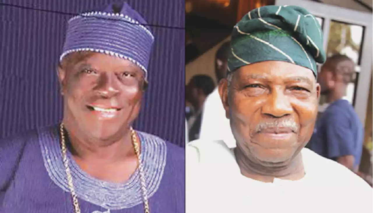 Politics shouldn’t divide Afenifere, say don, ex-spokesperson